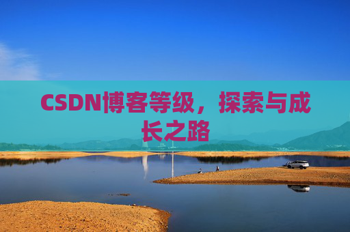 CSDN博客等级,探索与成长之路